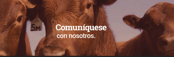 Agro D'Apice S.A.